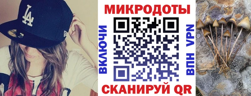 Галлюциногенные грибы Cubensis  Чудово 